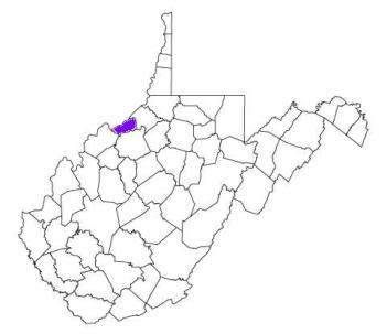 pleasants county west virginia fire, fire departments in pleasants county, pleasants county wv fire stations, volunteer fire department, pleasants county west virginia, pleasants fire station numbers, pleasants county fire jobs, pleasants county live dispatch, pleasants county fire departments, pleasants county ems, pleasants county ambulance, pleasants county west virginia firefighters