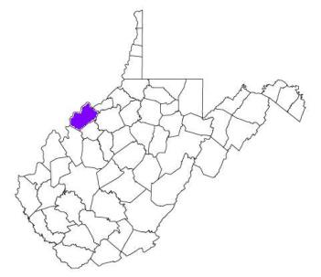 wood county west virginia fire, fire departments in wood county, wood county wv fire stations, volunteer fire department, wood county west virginia, wood fire station numbers, wood county fire jobs, wood county live dispatch, wood county fire departments, wood county ems, wood county ambulance, wood county west virginia firefighters