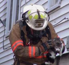 photo by WBOY TV 12